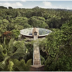 5* Station touristique Four Seasons Bali At Sayan