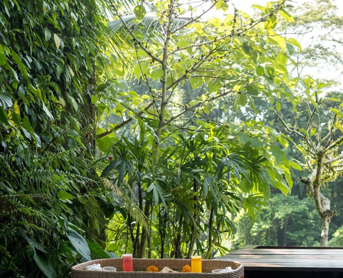 Ubud Green Resort Villas Powered By Archipelago Ubud (Bali)